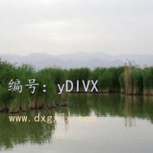 ƫ